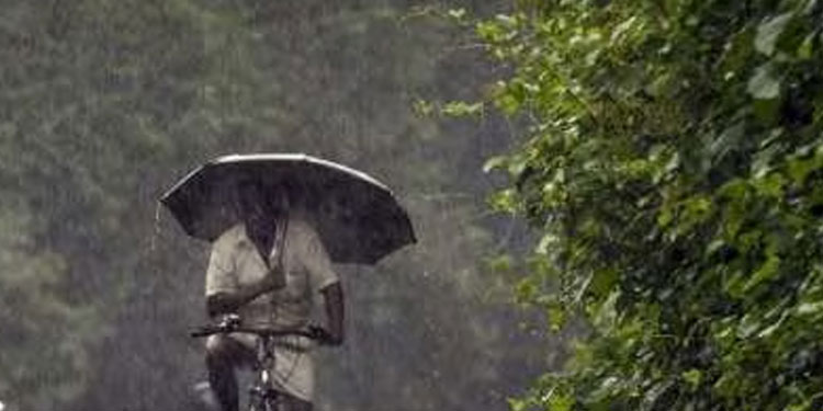 ഇടിമിന്നലോട് കൂടിയ ശക്തമായ മഴയ്ക്ക് സാധ്യത: 5 ജില്ലകളിൽ യെല്ലോ അലർട്ട്