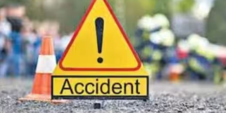 പൂപ്പാറയില്‍ ബസ് അപകടം; 15 പേര്‍ക്ക് പരുക്ക്