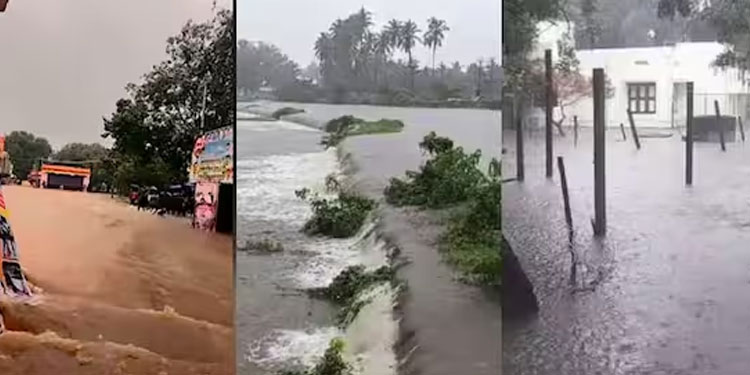 തീരദേശ ജില്ലകളിൽ ശക്തമായ മഴ തുടരുന്നു; പ്രളയ ഭീതിയിൽ തെക്കന്‍ തമിഴ്നാട്, രക്ഷാപ്രവര്‍ത്തനത്തിന് എന്‍ഡിആര്‍എഫ്