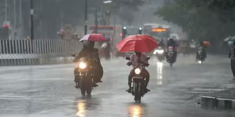 തിങ്കളാഴ്ച തിരുവനന്തപുരം ജില്ലക്ക് അവധിയോ?.. വാർത്ത തെറ്റെന്ന്  ജില്ലാ ഇൻഫർമേഷൻ ഓഫീസ്