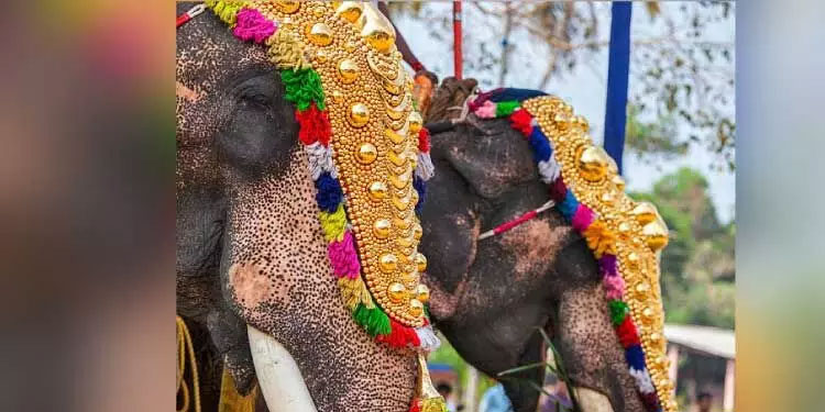 ഉത്സവ കാലം; ആനകളെ എഴുന്നള്ളിക്കുന്നതിന് നിബന്ധനകള്‍