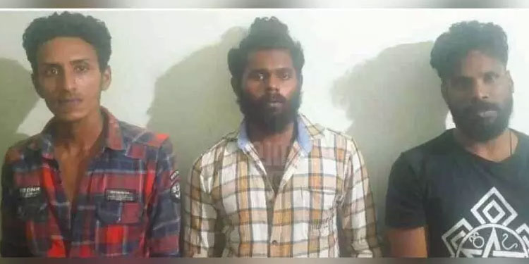 നായ്ക്കളെ കാവൽ നിർത്തി വീട്ടിൽ മയക്കുമരുന്ന് കച്ചവടം; പ്രതികൾ പിടിയിൽ