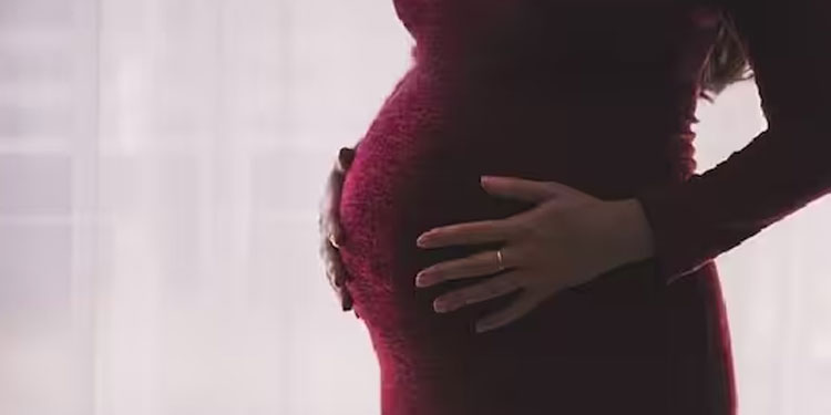 സ്ത്രീകളെ ​ഗർഭിണികളാക്കണം, 13ലക്ഷം പ്രതിഫലം, ​ഗർഭം ധരിച്ചില്ലെങ്കിലും കിട്ടും 5 ലക്ഷം; തട്ടിപ്പുസംഘം അറസ്റ്റിൽ