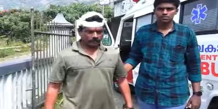 നേതാക്കൾ അറിയാതെ തോട്ടം വാങ്ങിയത് ഇഷ്ടപ്പെട്ടില്ല, പിന്നാലെ തൊഴിൽ തർക്കം; ഏലത്തോട്ടം ഉടമയെ തല്ലിയെന്ന് പരാതി