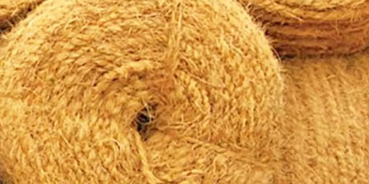 കയര്‍, ഖാദി തൊഴിലാളികള്‍ക്ക് ഇന്‍കം സപ്പോര്‍ട്ട് പദ്ധതിയില്‍ 15.15 കോടി അനുവദിച്ച് സര്‍ക്കാര്‍