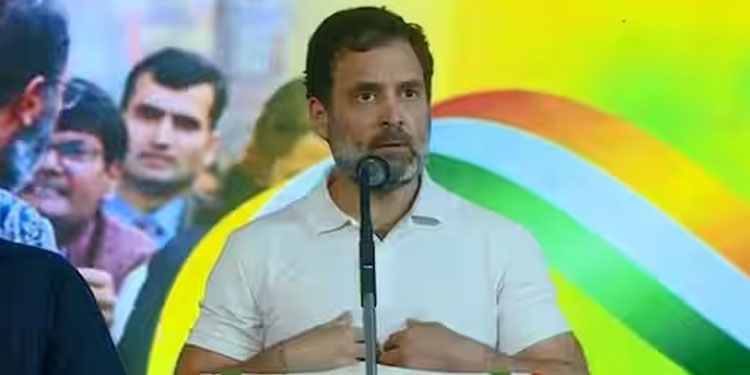 നിയമസഭ തെരഞ്ഞെടുപ്പ് തോൽവി; ‘വിജയം ഉറപ്പെന്ന് തെറ്റിദ്ധരിപ്പിച്ചു’; നേതാക്കളെ വിമർശിച്ച് രാഹുൽ ​ഗാന്ധി