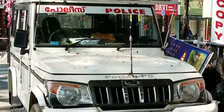 പാലക്കാട് മൂന്ന് വയസുകാരിക്ക് നേരെ ലൈംഗികാതിക്രമം; 72 കാരന്‍ പൊലീസ് കസ്റ്റഡിയിൽ