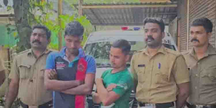 പാലക്കാട് വിവിധയിടങ്ങളിൽ നിന്നായി 12കിലോ കഞ്ചാവ് പിടികൂടി എക്സൈസ്