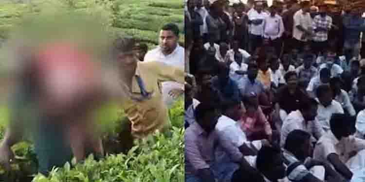 മൂന്നു വയസുളള കുട്ടിയെ കടിച്ചുകൊന്ന പുലിയെ മയക്കുവെടി വെച്ചു