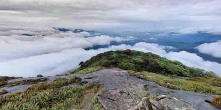 അഗസ്ത്യാര്‍കൂട യാത്രയ്ക്ക്  ഇന്ന് തുടക്കമാകും