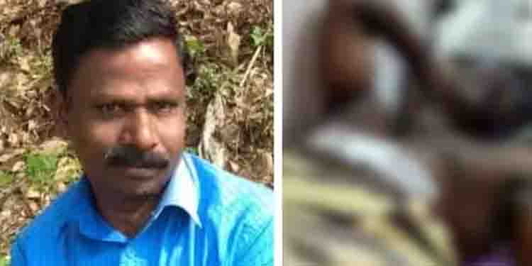 വണ്ടിപ്പെരിയാർ പെൺകുട്ടിയുടെ അച്ഛനെ കുത്തിയ കേസ്; പ്രതി പാൽരാജ് കസ്റ്റഡിയിൽ