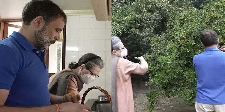 ന്യൂ ഇയർ സ്പെഷൻ റെസിപ്പിയുമായി സോണിയയും രാഹുലും; വേണമെങ്കിൽ ബി.ജെ.പിക്കാർക്കും നൽകാമെന്ന് രാഹുൽ