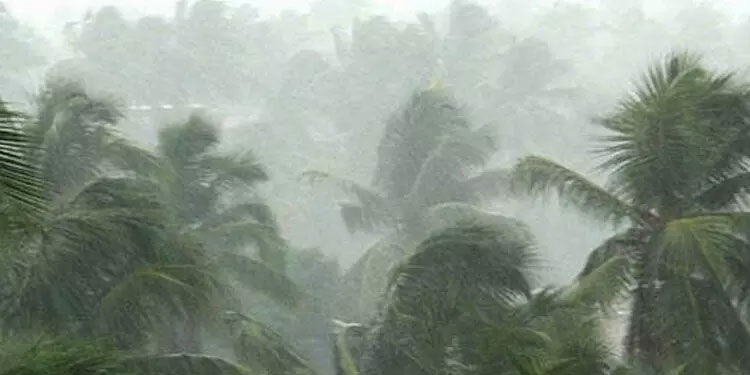 കേരളത്തിൽ വീണ്ടും മഴ മുന്നറിയിപ്പ്; ഇടുക്കിയിൽ ഓറഞ്ച് അലർട്ട്; അഞ്ച് ജില്ലകളിൽ യെല്ലോ അലർട്ട്