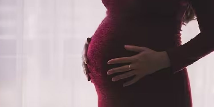 ഒരു സ്ത്രീയെ ഗർഭിണിയാക്കിയാൽ 13 ലക്ഷം പ്രതിഫലം, സാധിച്ചില്ലെങ്കിൽ 5 ലക്ഷം; വന്‍ തട്ടിപ്പ് സംഘം പിടിയിൽ
