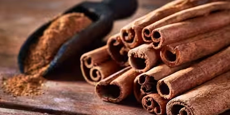 കറുവപ്പട്ടയുടെ ഈ ​ആരോ​ഗ്യ​ഗുണങ്ങൾ അറിയാതെ പോകരുത്
