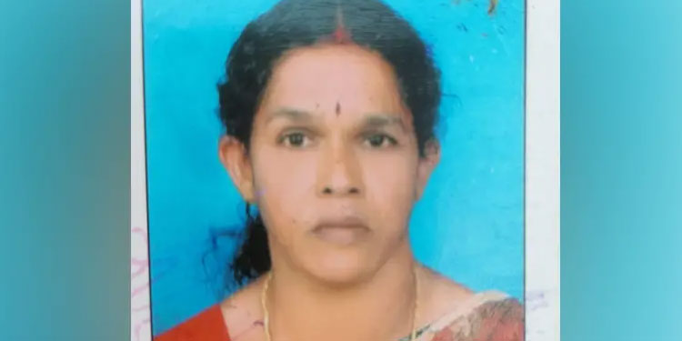 കുരുമുളക് പറിക്കുന്നതിനിടെ ഏണി വൈദ്യുതി ലൈനിൽ വീണ്‌ വീട്ടമ്മയ്ക്ക് ദാരുണാന്ത്യം