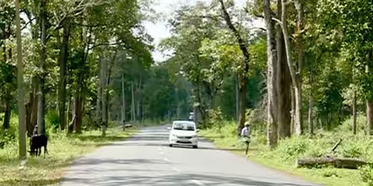 രാത്രിയാത്രാ നിരോധനം, തൽസ്ഥിതി അറിയിക്കാൻ സുപ്രീം കോടതി നിർദേശം; ബദൽ പാത സംബന്ധിച്ച നിലപാടറിയിച്ച് കേന്ദ്രം