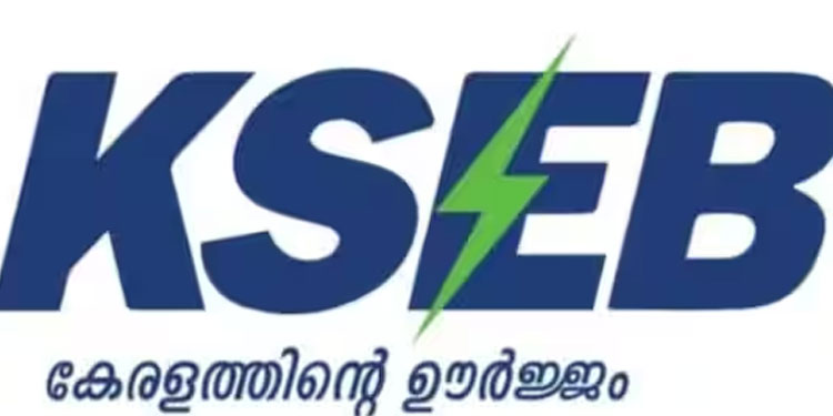 കെഎസ്ഇബിയുടെ സെർവർ തകരാറിൽ; ബില്ലടക്കുന്നതുൾപ്പെടെ സേവനങ്ങൾ തടസപ്പെട്ടു