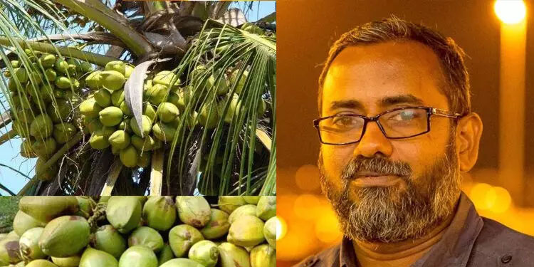 നാളികേര സംഭരണത്തിന് കൃഷിയിടത്തിന്റെ പരമാവധി വിസ്‌തൃതി 15 ഏക്കറാക്കി ഉയർത്തിയെന്ന് പി. പ്രസാദ്