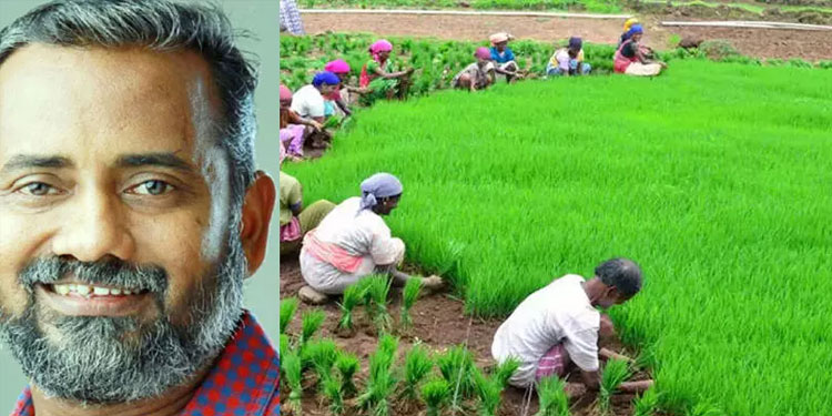 കൃഷിവകുപ്പിന്റെ ജൈവ സർട്ടിഫിക്കേഷന് പദ്ധതിയിൽ അംഗങ്ങളാകാം