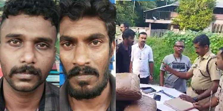 ഒഡ‍ീഷയിലെ ഉൾവനത്തിൽനിന്നും പ്രത്യേക ഏജന്റ് വഴി കഞ്ചാവ്; കിലോ 15,000 രൂപയ്‌ക്ക് വിൽപന; 2 പേർ പിടിയിൽ