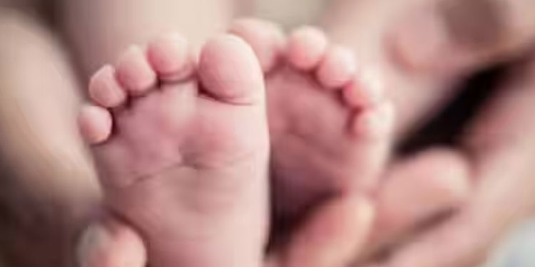4 മാസം പ്രായം, കൈക്കുഞ്ഞിനെ ബസിൽ ഉപേക്ഷിച്ച് യുവതി മുങ്ങി, അന്വേഷിച്ച് തൃശൂർ സ്വദേശിയായ അച്ഛനെത്തി, പക്ഷേ!