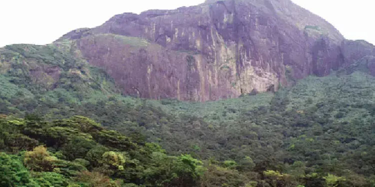 അഗസ്ത്യാർകൂടം ട്രക്കിങ് നാളെ മുതൽ