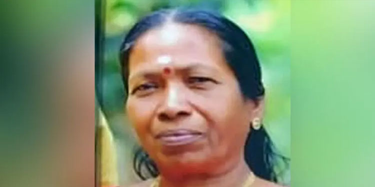 വീട്ടമ്മയുടെ കൊലപാതകം: പ്രതിയെ കണ്ടെത്താൻ ലുക്കൗട്ട് നോട്ടീസ്​ പുറപ്പെടുവിച്ചു