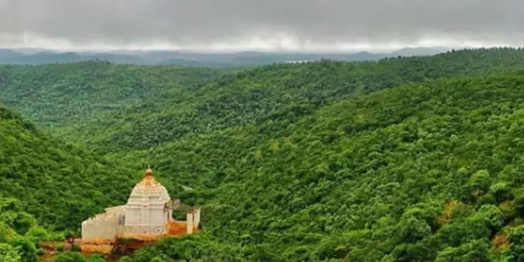 വിനോദ സഞ്ചാരികളെ വരവേൽക്കാൻ കർണാടകയുടെ സഹ്യാദ്രി കപ്പടഗുഡ്ഡ