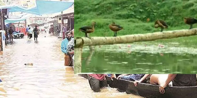 2019 ലെ പ്രളയ കാലത്ത് നാല് ചെമ്പിന് വാടക 48,000 രൂപ