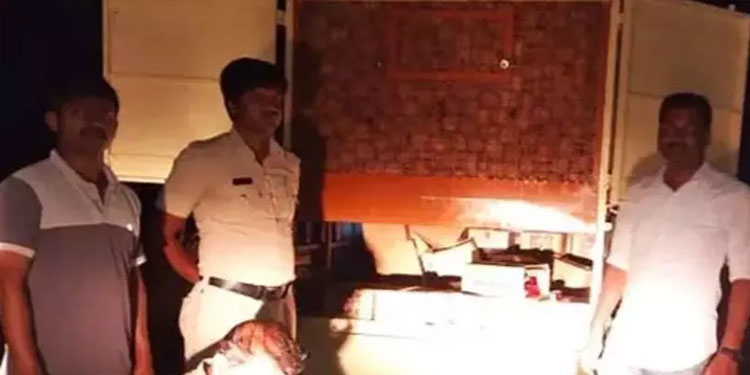ഗോവയിൽനിന്നുള്ള ചിരട്ട ലോറിയിൽ ‘മദ്യക്കലവറ’; കേരളത്തിലേക്ക് കടത്തിയ 6.88 ലക്ഷത്തിന്റെ മദ്യം പിടികൂടി