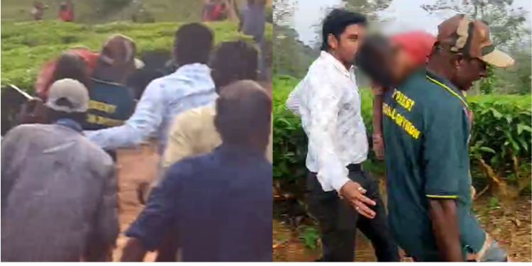 തമിഴ്നാട് പന്തല്ലൂരിൽ പുലിയുടെ ആക്രമണത്തിൽ കുട്ടി മരിച്ചു