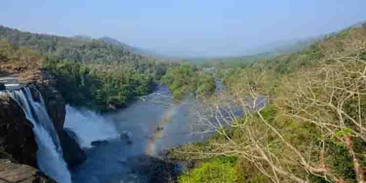 അതിരപ്പിള്ളി വനത്തിനുള്ളിലേക്ക് അതിക്രമിച്ച് കടന്നു; വാച്ചർക്കും 5പേർക്കുമെതിരെ കേസ്, വാഹനവും പിടിച്ചെടുക്കും