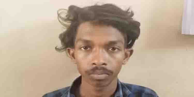 പെണ്‍കുട്ടിയെ പ്രണയം നടിച്ച് പീഡിപ്പിച്ചു: 19കാരന്‍ അറസ്റ്റില്‍