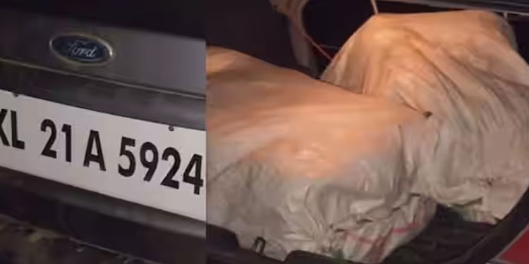 ഫീയസ്റ്റയുടെ ഡിക്കി തുറന്നപ്പോള്‍ കണ്ടത് രണ്ട് ചാക്ക്, തുറന്നതോടെ യുവാക്കള്‍ ഓടി, പിടികൂടിയത് 45 കിലോ കഞ്ചാവ്