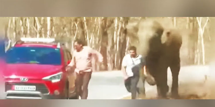 തൊട്ടുപിന്നില്‍ ‘നൂറേ നൂറി’ല്‍ ആന; മുത്തങ്ങ വനപാതയില്‍ രണ്ടുപേര്‍ രക്ഷപ്പെട്ടത് തലനാരിഴയ്ക്ക്
