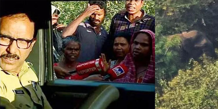 മാനന്തവാടിയിലെ ആളെക്കൊല്ലി ആനയെ കണ്ടെത്താനായില്ല; കാട്ടിൽനിന്ന് മടങ്ങിയ ദൗത്യ സംഘത്തെ തടഞ്ഞ് നാട്ടുകാർ