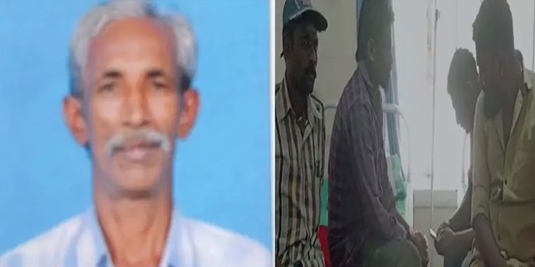 കടന്നല്‍ ആക്രമണം വ്യാപകമാകുന്നു: കര്‍ഷകന്‍ മരിച്ചു, നിരവധി പേര്‍ക്ക് കുത്തേറ്റു