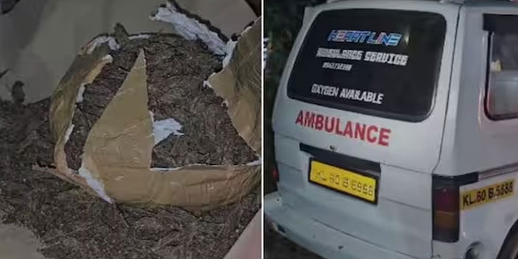 ആംബുലന്‍സില്‍ കഞ്ചാവ് കടത്ത്; കൊല്ലത്ത് 4 കിലോ കഞ്ചാവുമായി രണ്ട് പേർ അറസ്റ്റിൽ