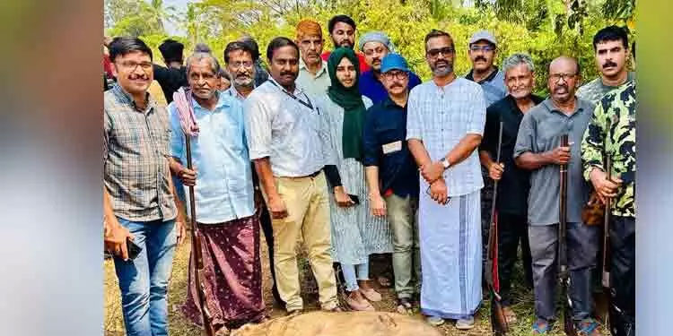 നാദാപുരത്ത് എട്ട് കാട്ടുപന്നികളെ വെടിവെച്ചു കൊന്നു