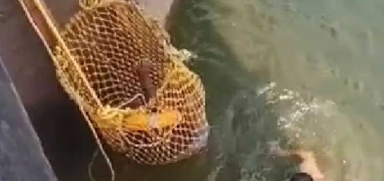 സെല്‍ഫി എടുക്കുന്നതിനിടെ യുവാവ് പേപ്പാറ ഡാമില്‍ വീണു