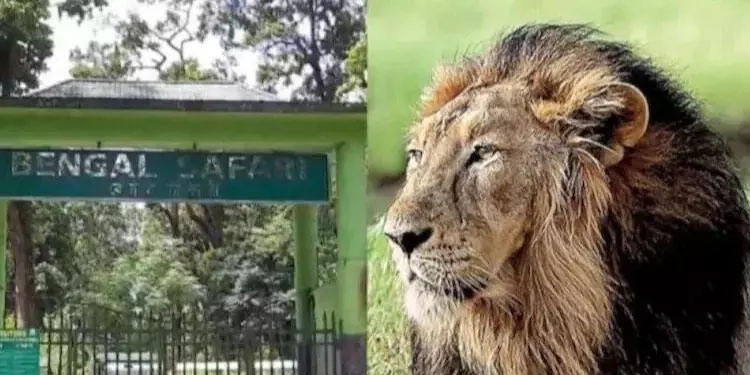 സിംഹങ്ങൾക്ക് സീത, അക്ബർ എന്ന് പേരിട്ടത് ശരിയായില്ല; പേര് മാറ്റണമെന്നും കൽക്കട്ട ഹൈകോടതി