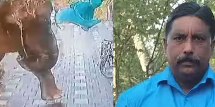 ബി.ജെ.പി പ്രതിഷേധം; കർണാടക സർക്കാറിന്‍റെ നഷ്ടപരിഹാരം നിരസിച്ച് അജീഷിന്‍റെ കുടുംബം