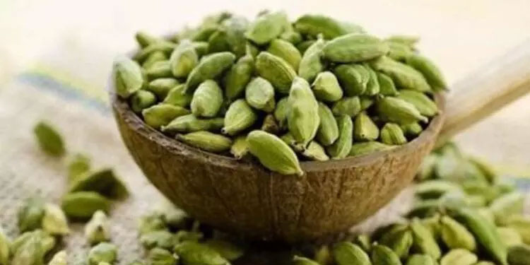 ശബരിമലയിലേക്ക്​ ഇനി കെ.എഫ്​.ഡി.സിയുടെ ഏലക്ക