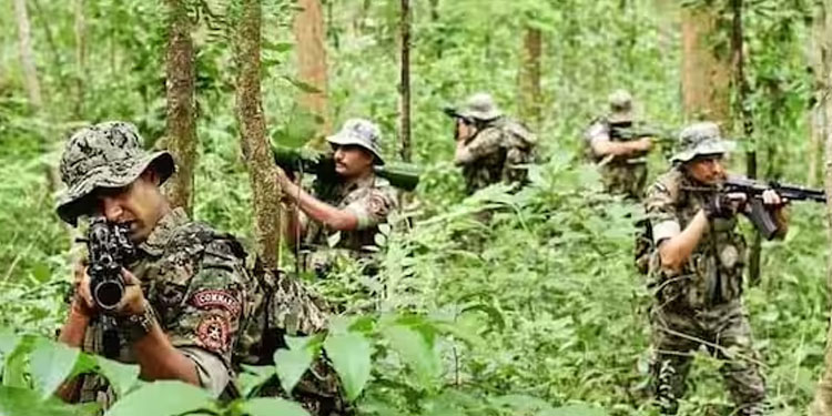 ‘ചെറിയൊരു കൈയബദ്ധം, നാറ്റിക്കരുത്, കത്തെഴുതിയത് വികാരത്തള്ളിച്ചയിൽ’; സിആർപിഎഫ് വേണ്ടെന്ന് വനപാലക സംഘടന