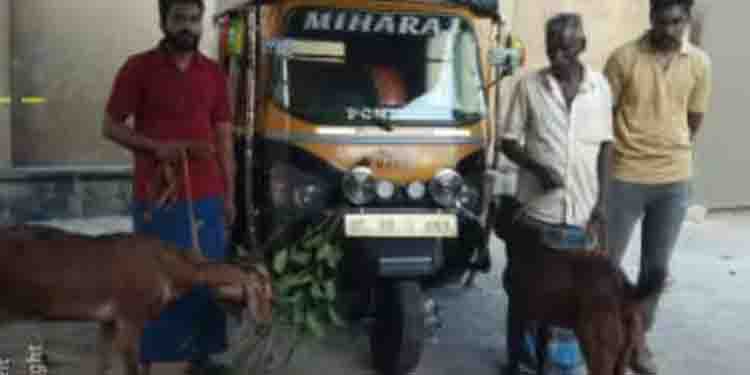 വയനാട്ടിലെ ആട് മോഷ്ടാക്കൾ പിടിയിൽ