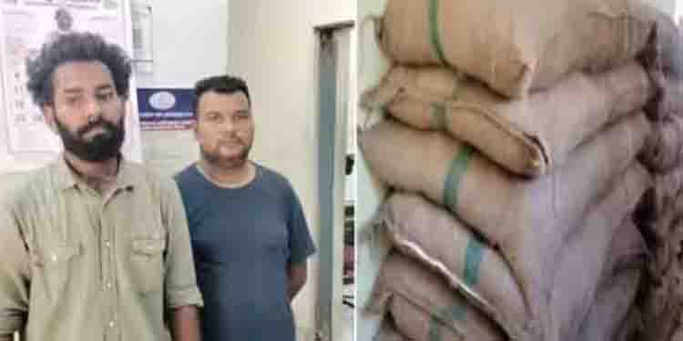 ഇറച്ചി മാലിന്യങ്ങൾക്കടിയിൽ രഹസ്യമായി 36 ചാക്കുകള്‍; പിക്കപ്പുമായി പന്തളത്ത് പിടിയിലായത് മലപ്പുറം സ്വദേശികൾ