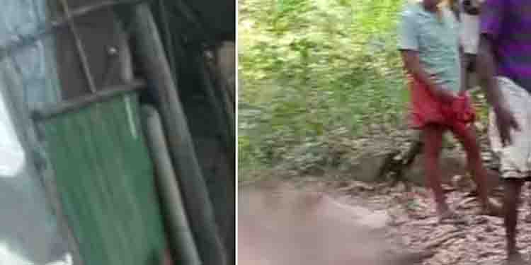 ഇടുക്കിയിൽ വീണ്ടും ചക്കക്കൊമ്പൻ്റെ പരാക്രമം; വയനാട്ടിൽ മരിച്ച മിനിയുടെ പോസ്റ്റ്മോർ‍ട്ടം ഇന്ന്