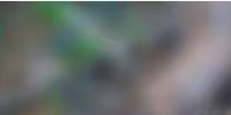 പമ്പയിൽ അജ്ഞാത മൃതദേഹം കണ്ടെത്തി; രണ്ട് മാസത്തിലധികം പഴക്കമുണ്ടെന്ന് പൊലീസ്, അന്വേഷണം