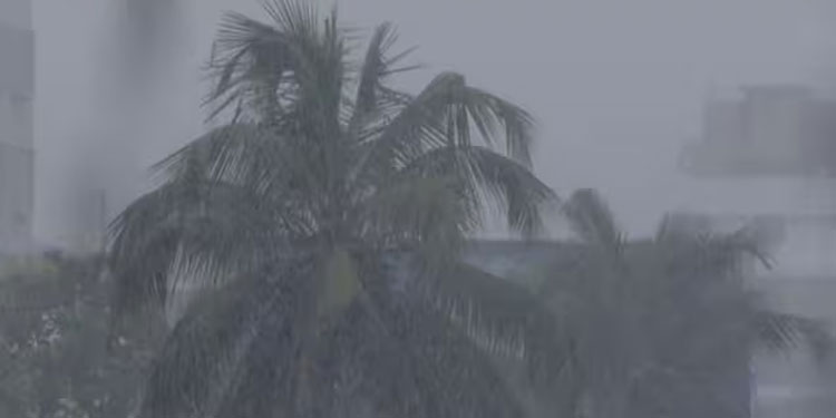 കനത്ത മഴയിൽ വീടിന് മുകളിലേക്ക് പാറക്കല്ല് ഇടിഞ്ഞുവീണു, പത്തനംതിട്ടയിൽ വീട്ടമ്മക്ക് ദാരുണാന്ത്യം